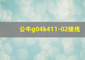 公牛g04k411-02接线