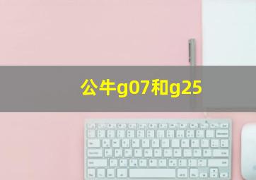 公牛g07和g25