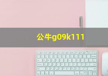 公牛g09k111