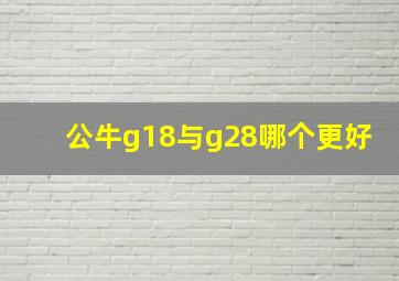 公牛g18与g28哪个更好