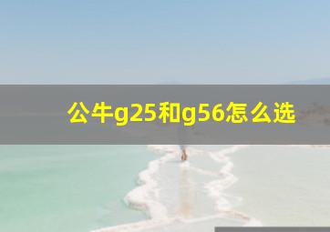 公牛g25和g56怎么选