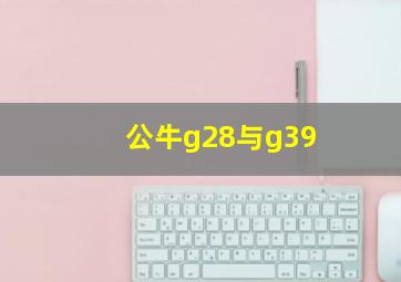 公牛g28与g39