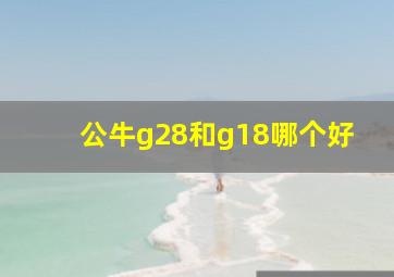 公牛g28和g18哪个好