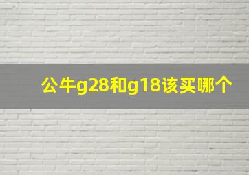 公牛g28和g18该买哪个