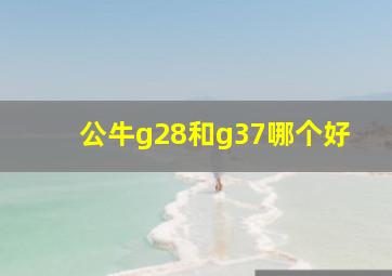 公牛g28和g37哪个好