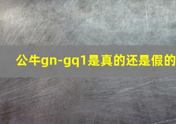 公牛gn-gq1是真的还是假的