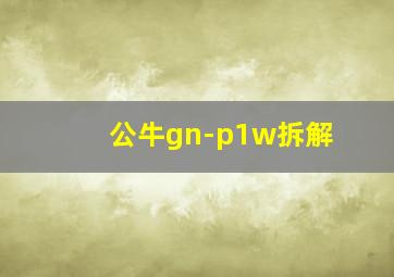 公牛gn-p1w拆解