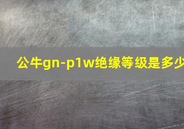 公牛gn-p1w绝缘等级是多少