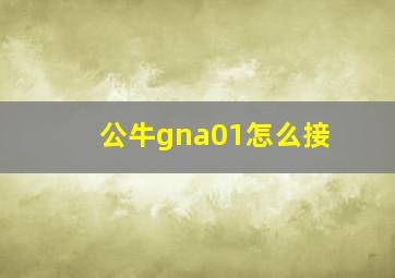 公牛gna01怎么接