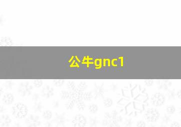 公牛gnc1