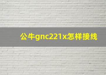 公牛gnc221x怎样接线