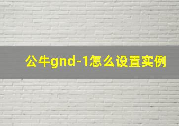 公牛gnd-1怎么设置实例