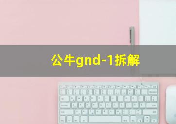 公牛gnd-1拆解