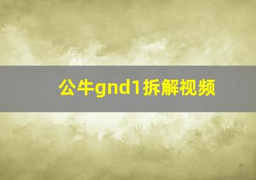 公牛gnd1拆解视频