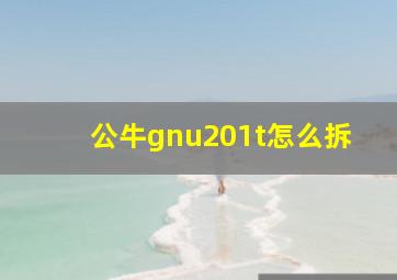 公牛gnu201t怎么拆