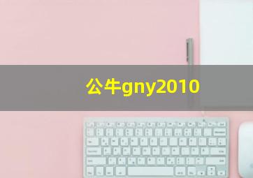 公牛gny2010