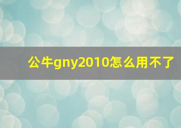 公牛gny2010怎么用不了