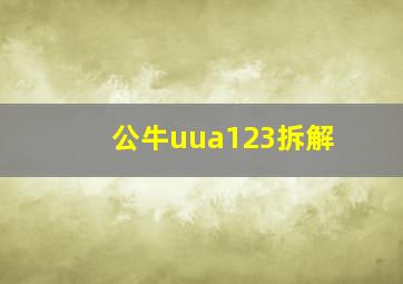 公牛uua123拆解