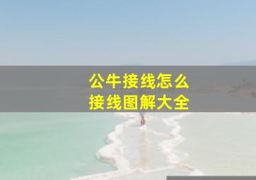 公牛接线怎么接线图解大全