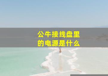 公牛接线盘里的电源是什么