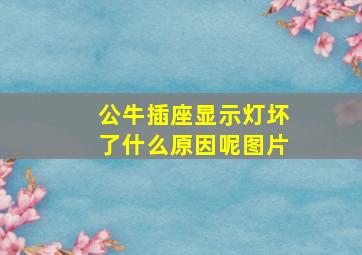 公牛插座显示灯坏了什么原因呢图片