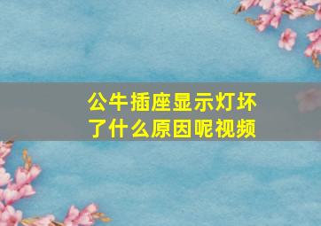 公牛插座显示灯坏了什么原因呢视频