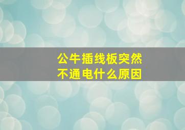 公牛插线板突然不通电什么原因