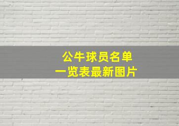 公牛球员名单一览表最新图片