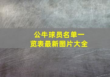 公牛球员名单一览表最新图片大全