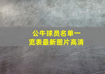 公牛球员名单一览表最新图片高清