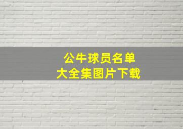 公牛球员名单大全集图片下载