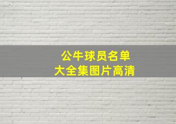 公牛球员名单大全集图片高清