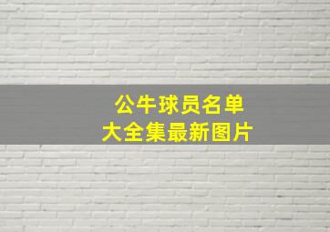 公牛球员名单大全集最新图片