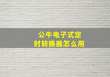 公牛电子式定时转换器怎么用