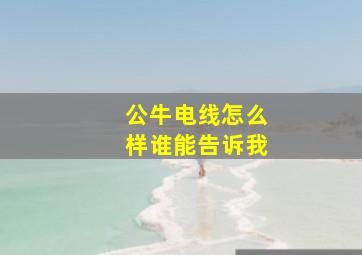 公牛电线怎么样谁能告诉我