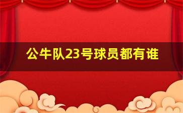 公牛队23号球员都有谁