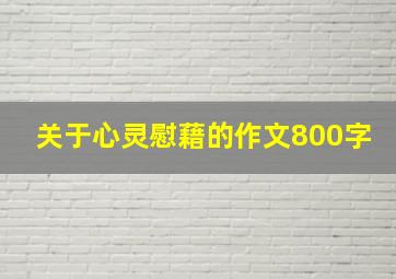 关于心灵慰藉的作文800字