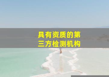 具有资质的第三方检测机构