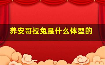 养安哥拉兔是什么体型的