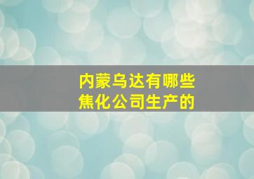 内蒙乌达有哪些焦化公司生产的