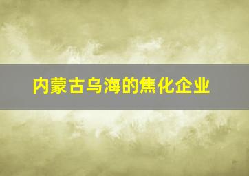 内蒙古乌海的焦化企业