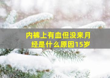 内裤上有血但没来月经是什么原因15岁