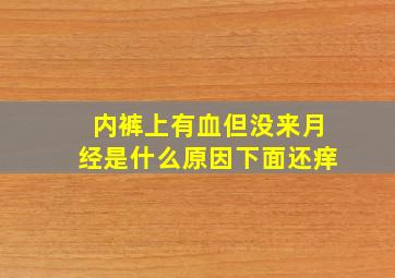 内裤上有血但没来月经是什么原因下面还痒