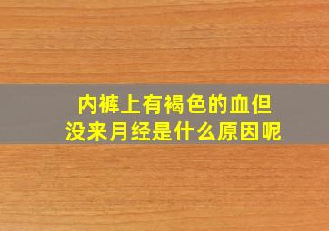 内裤上有褐色的血但没来月经是什么原因呢