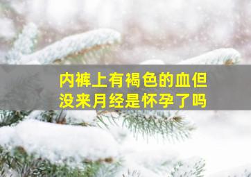 内裤上有褐色的血但没来月经是怀孕了吗