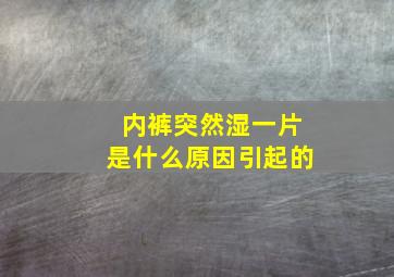 内裤突然湿一片是什么原因引起的