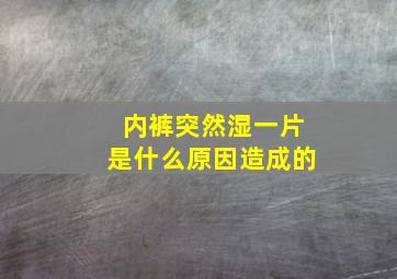 内裤突然湿一片是什么原因造成的