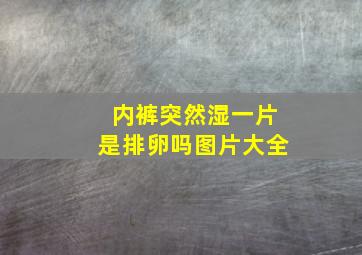 内裤突然湿一片是排卵吗图片大全