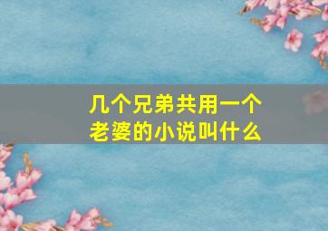 几个兄弟共用一个老婆的小说叫什么