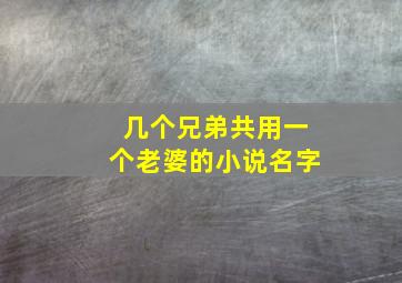 几个兄弟共用一个老婆的小说名字